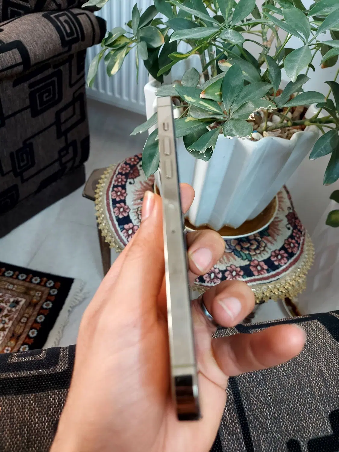 ۱۴پرومکس ۲۵۶ g|موبایل|بجنورد, |دیوار