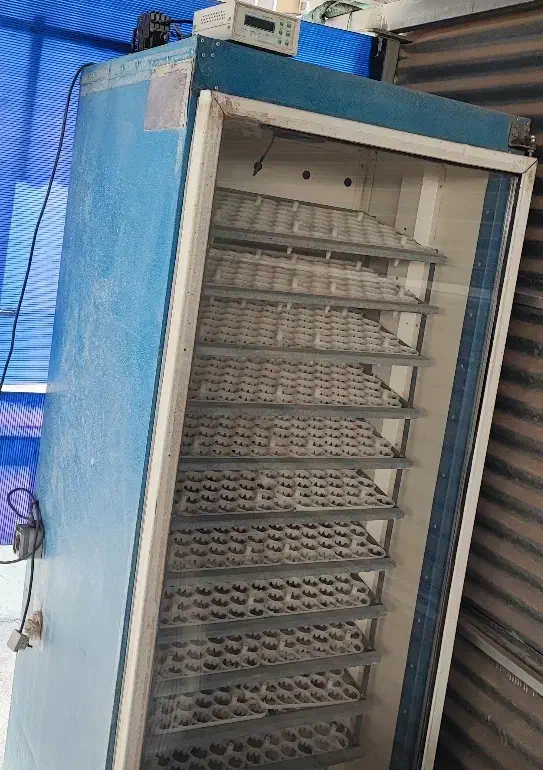 جوجه کشی|ماشینآلات صنعتی|اهواز, شهرک شهید عباس پور|دیوار