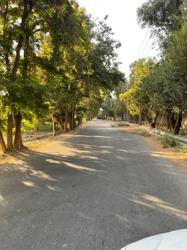 ۵۰۰مترزمین(سندتکبرگ)کردان باغ ویلا تهراندشت باغچه|فروش زمین و ملک کلنگی|کرج, فاز ۲ مهرشهر|دیوار