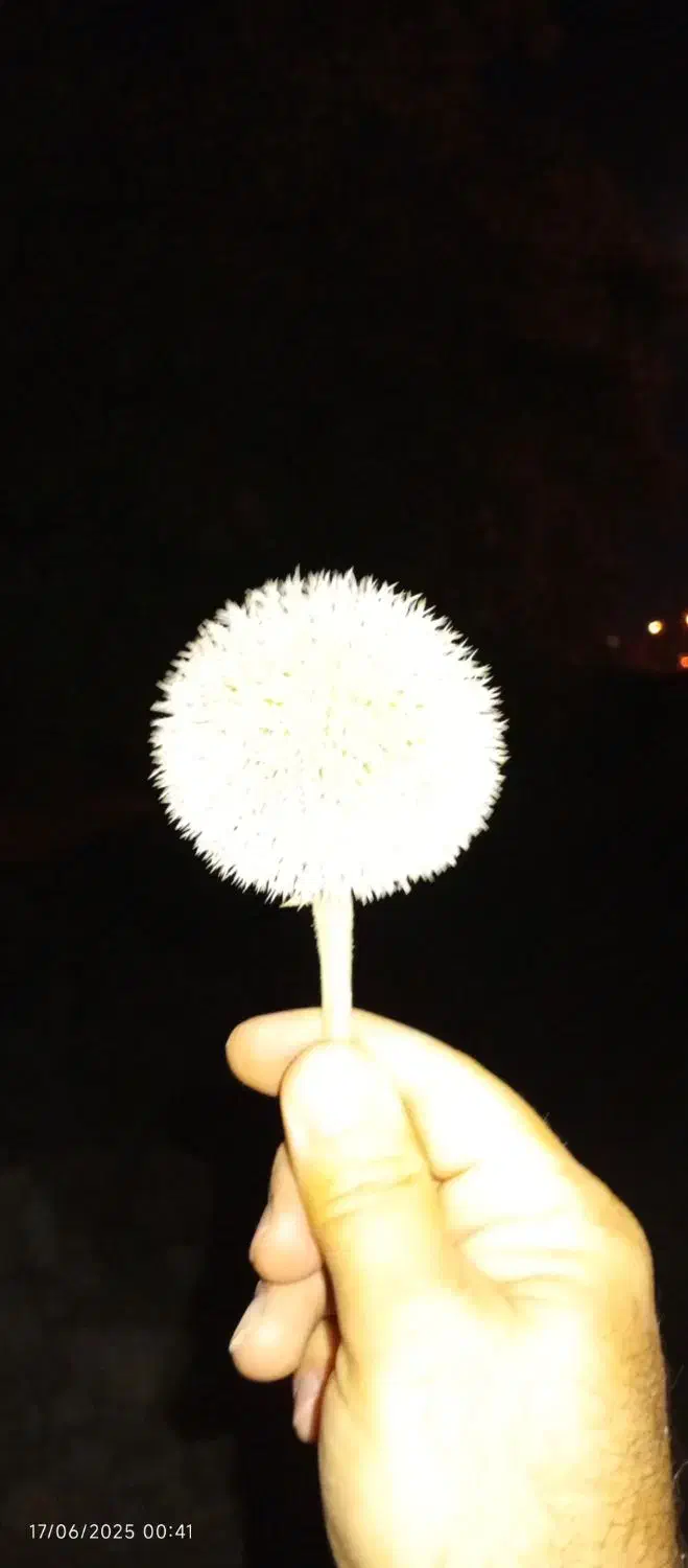 کارت سوخت پیدا شده|اشیا|یاسوج, |دیوار