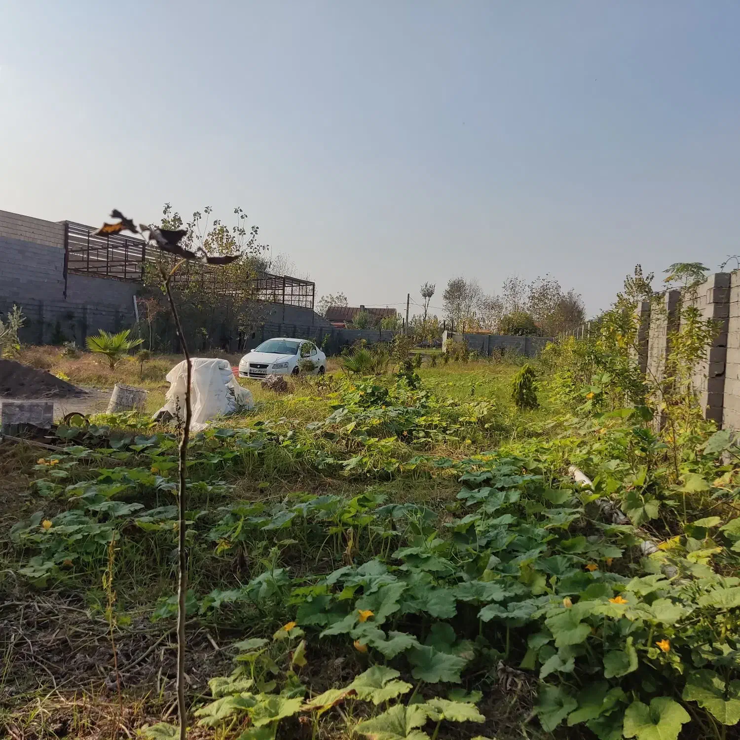 فروش ویلا باغ بزرگ|فروش خانه و ویلا|رشت, حومه رشت|دیوار