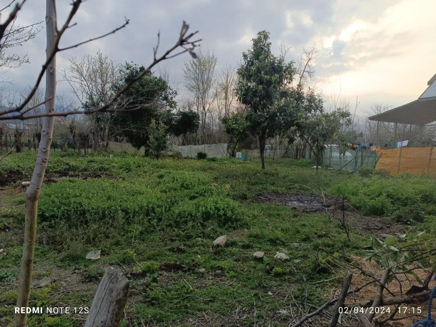 زمین مسکونی ویو ابدی|فروش زمین و ملک کلنگی|ماکلوان, |دیوار