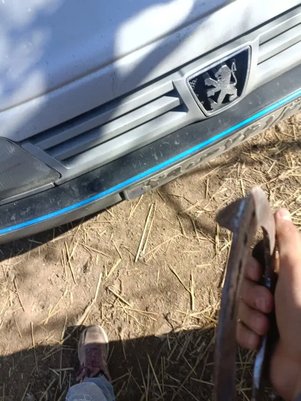 نعل|اسب و تجهیزات اسب‌سواری|نظرآباد, نظرآباد|دیوار