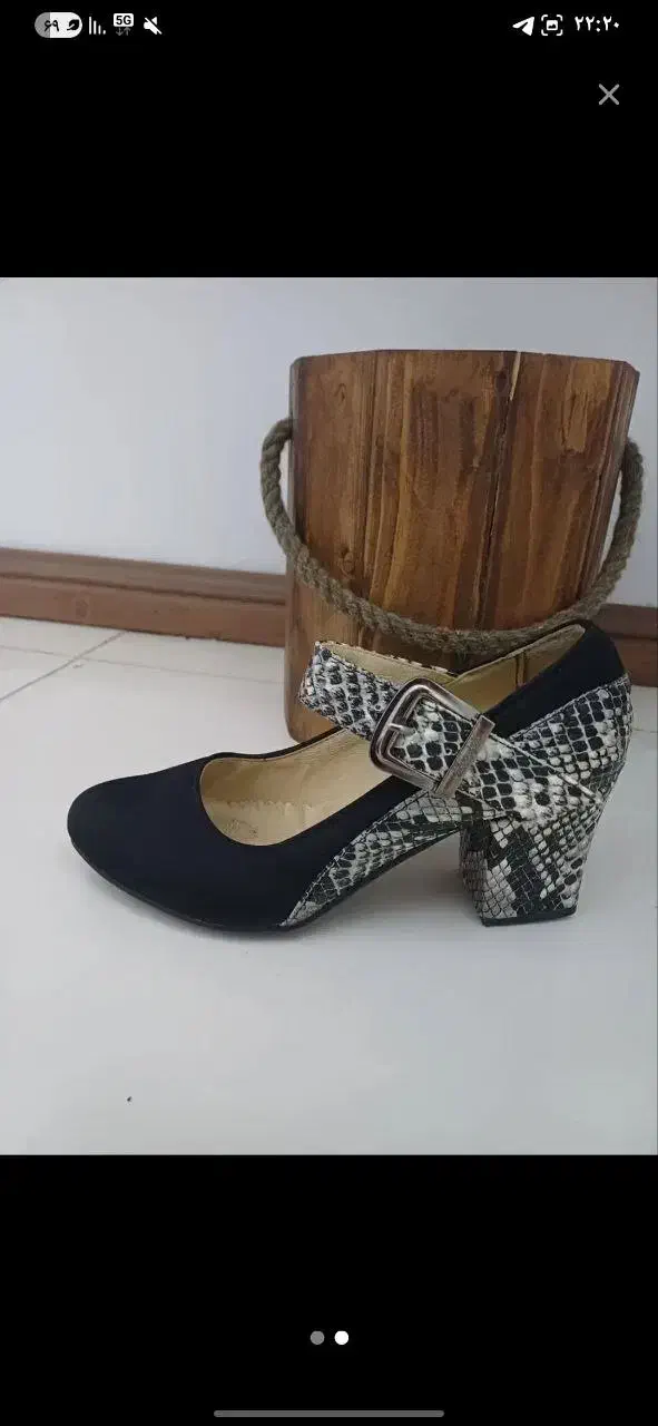 کفش مجلسی|کیف، کفش، کمربند|بجنورد, |دیوار