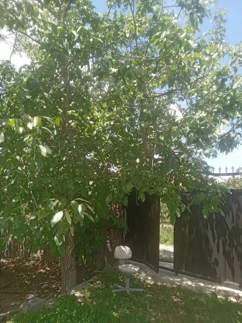 سرایداری و باغبانی در دماوند|استخدام سرایداری و نظافت|دماوند, دماوند|دیوار