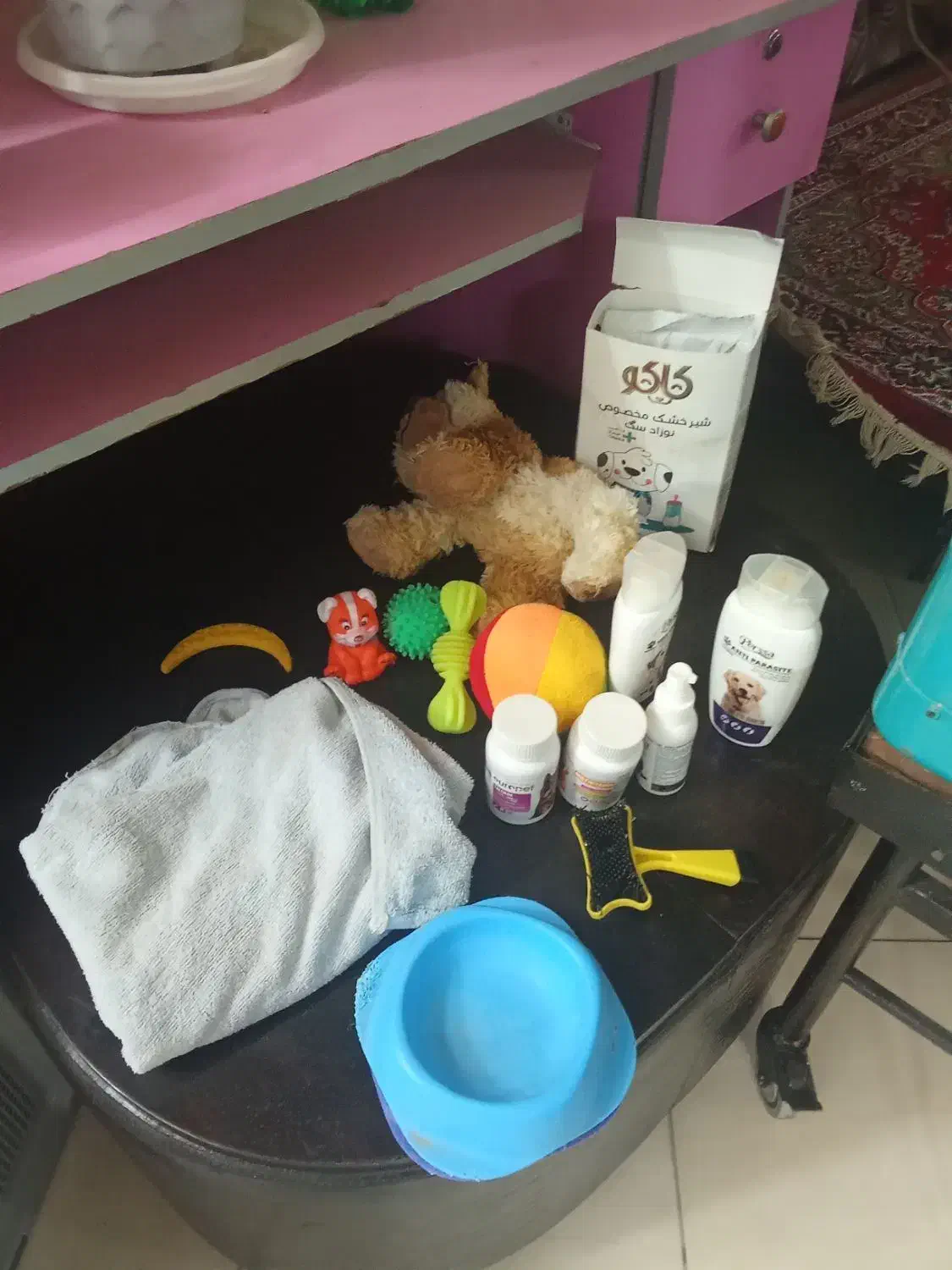 خانه ولوازم سگ درحد نو کامل|لوازم جانبی حیوانات|اصفهان, گلزار|دیوار