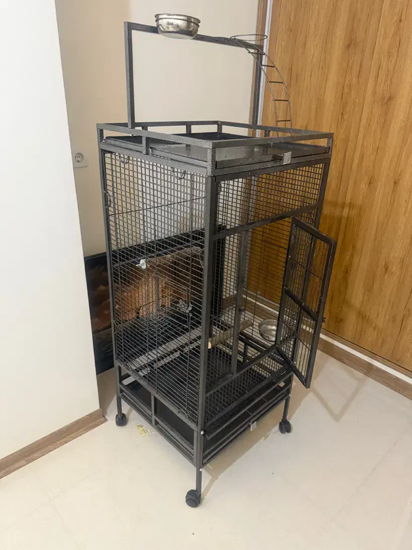 قفس پرنده سایز بزرگ|لوازم جانبی حیوانات|فردیس, فرامرزیه|دیوار