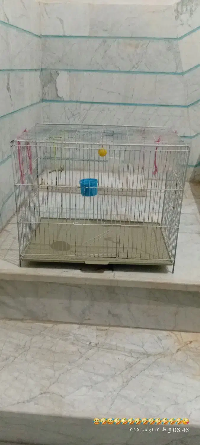 قفس پرنده|لوازم جانبی حیوانات|اقبالیه, |دیوار