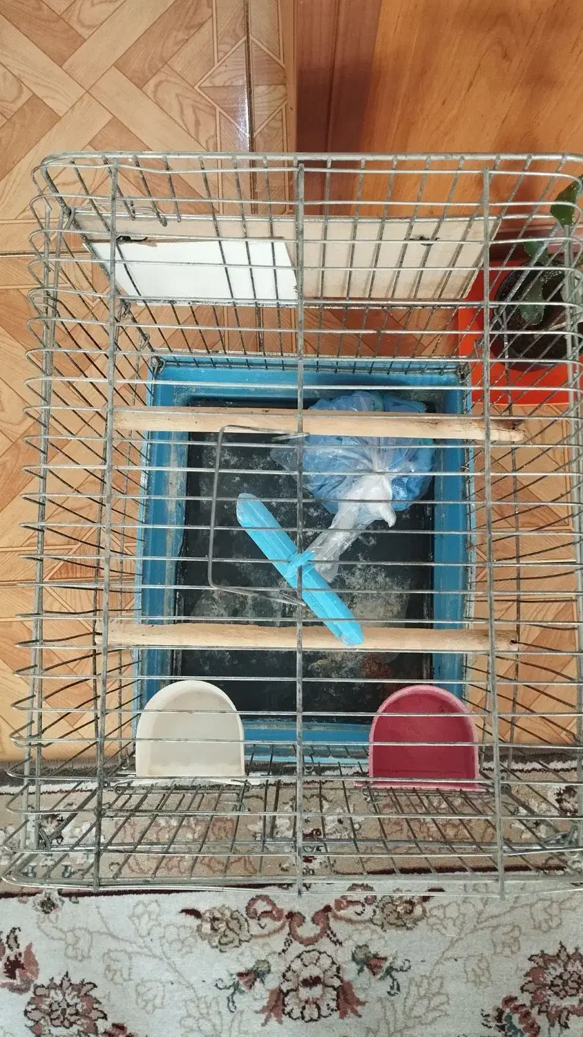 قفس پرنده|لوازم جانبی حیوانات|صحنه, |دیوار