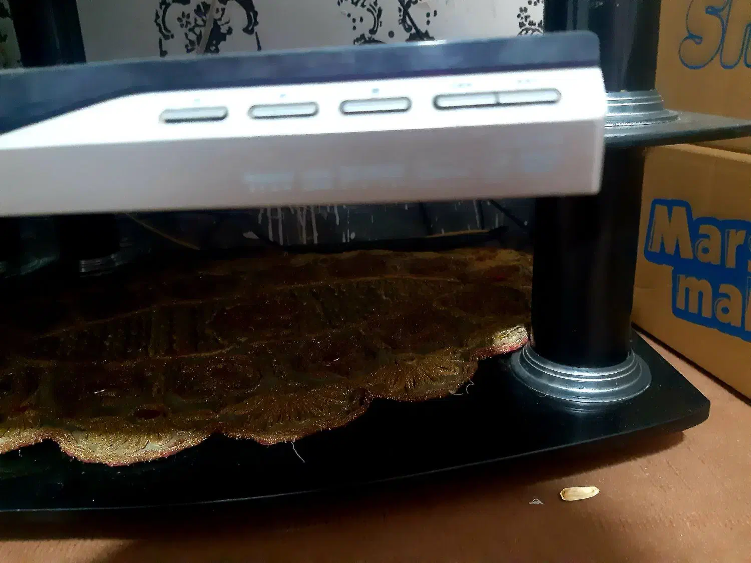 دستگاه دی وی دی|پخش‌کننده DVD و ویدیو|شاهرود, |دیوار