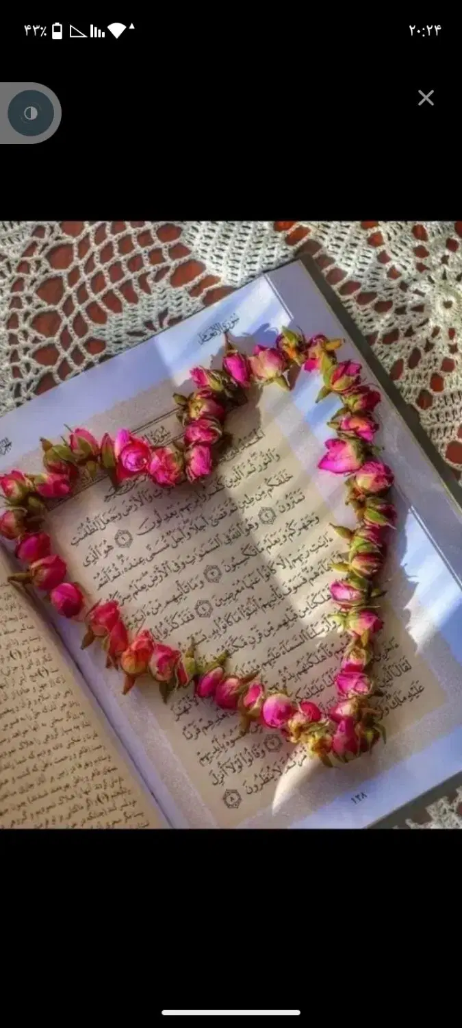 سرکتاب|کتاب و مجله مذهبی|شیراز, دانشگاه شیراز|دیوار