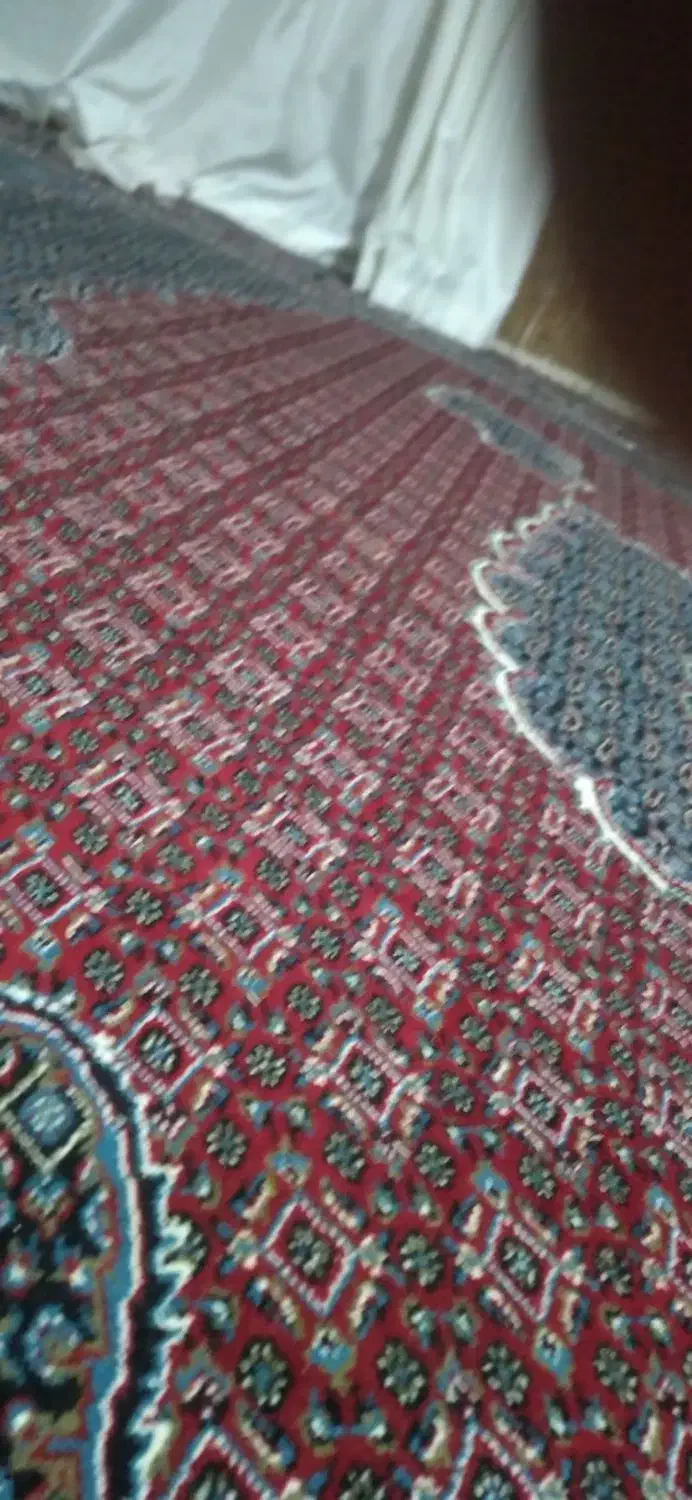 فرش بزرگ یه عدد|فرش|ارومیه, |دیوار