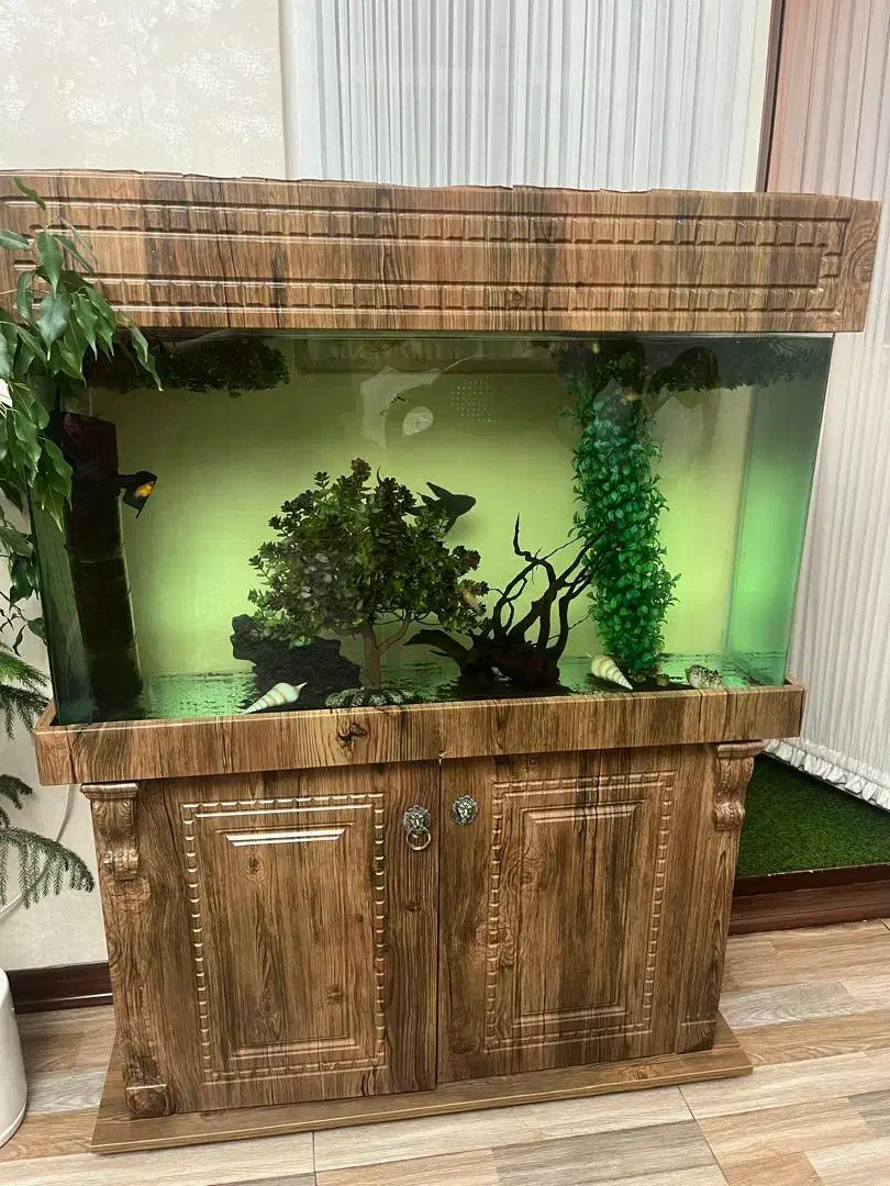 آکواریوم کاملا سالم پایین کمد تعدادی ماهی|ماهی|فردیس, شهرک هفده شهریور|دیوار