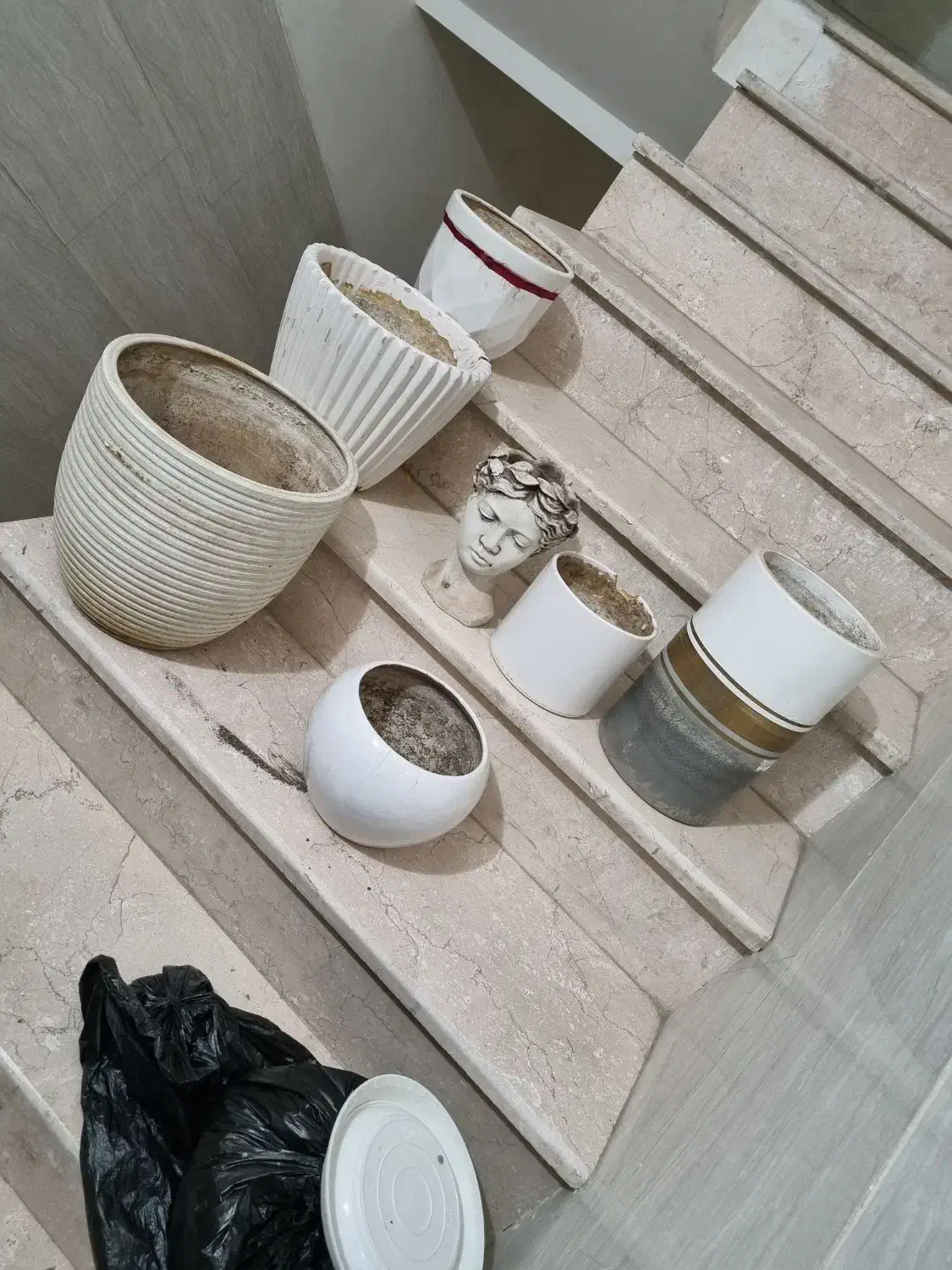 گلدان|گل و گیاه طبیعی|پاکدشت, پاکدشت (مامازند)|دیوار