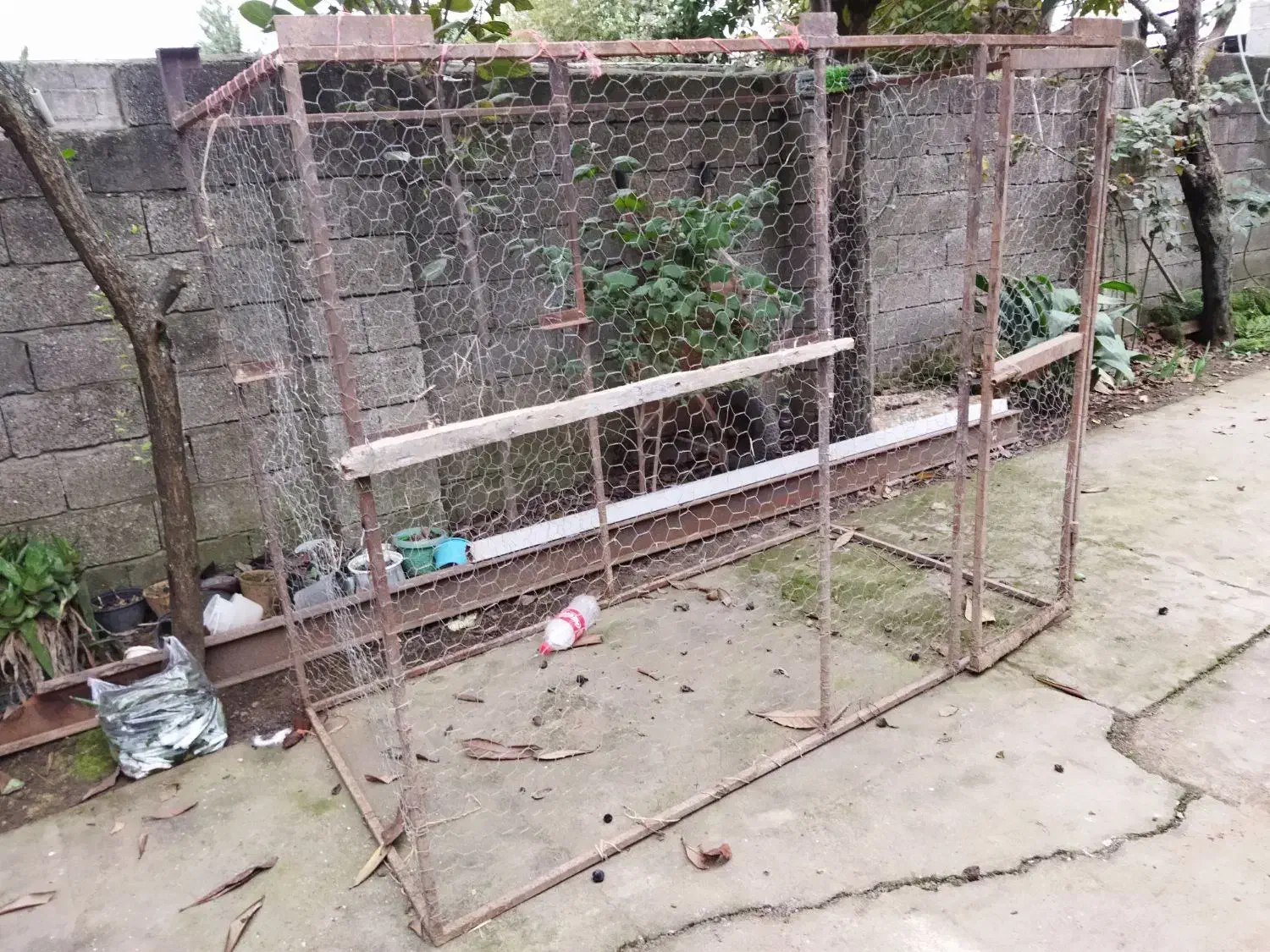 قفس پرنده|لوازم جانبی حیوانات|تالش, هشتپر|دیوار