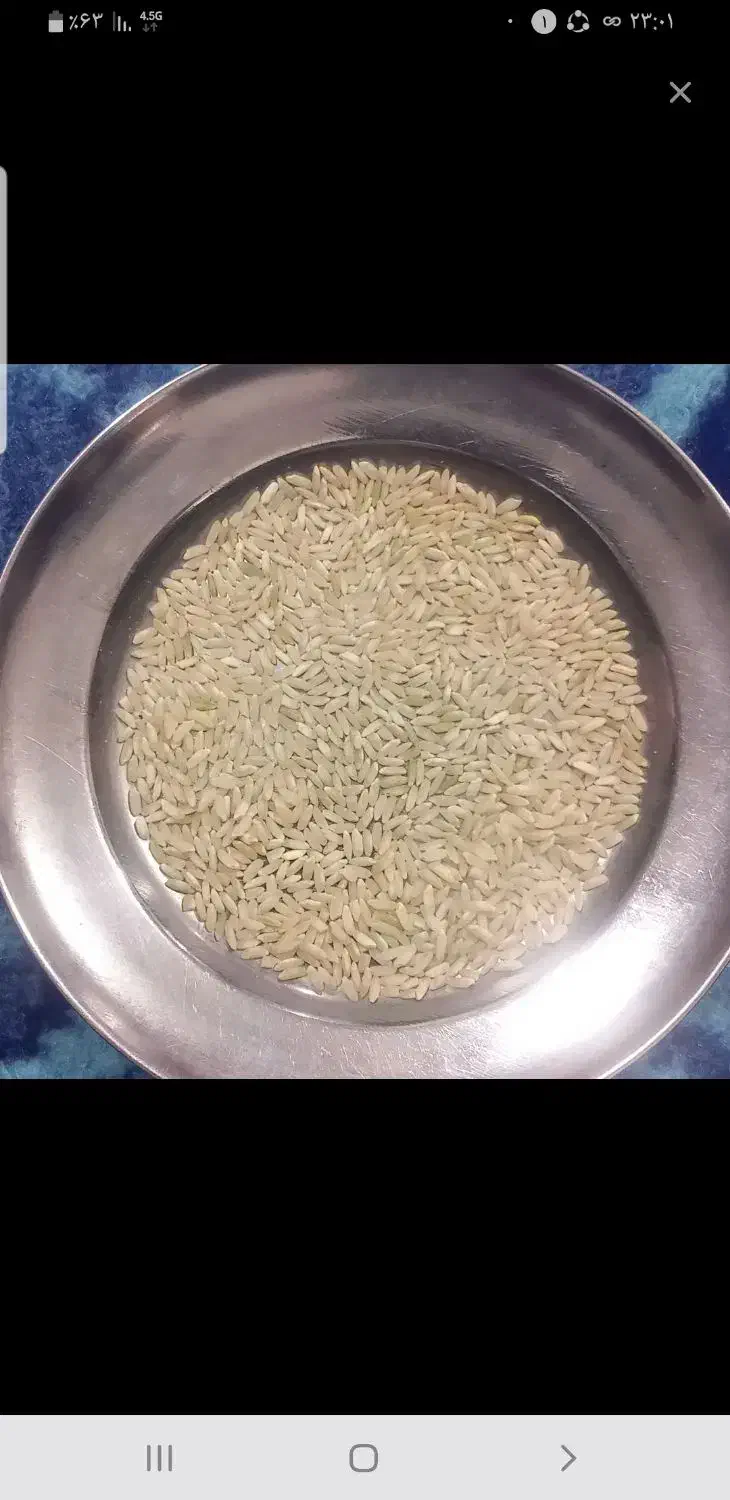 فروش ۲۰۰ کیلو چلتوک کومفیروزی|خوردنی و آشامیدنی|یاسوج, |دیوار