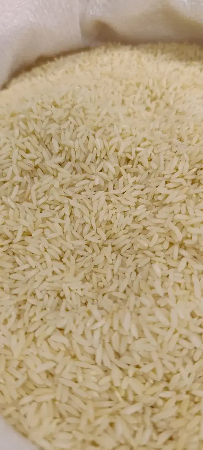 برنج ممان میانه اصلی فقط 330|خوردنی و آشامیدنی|تبریز, |دیوار