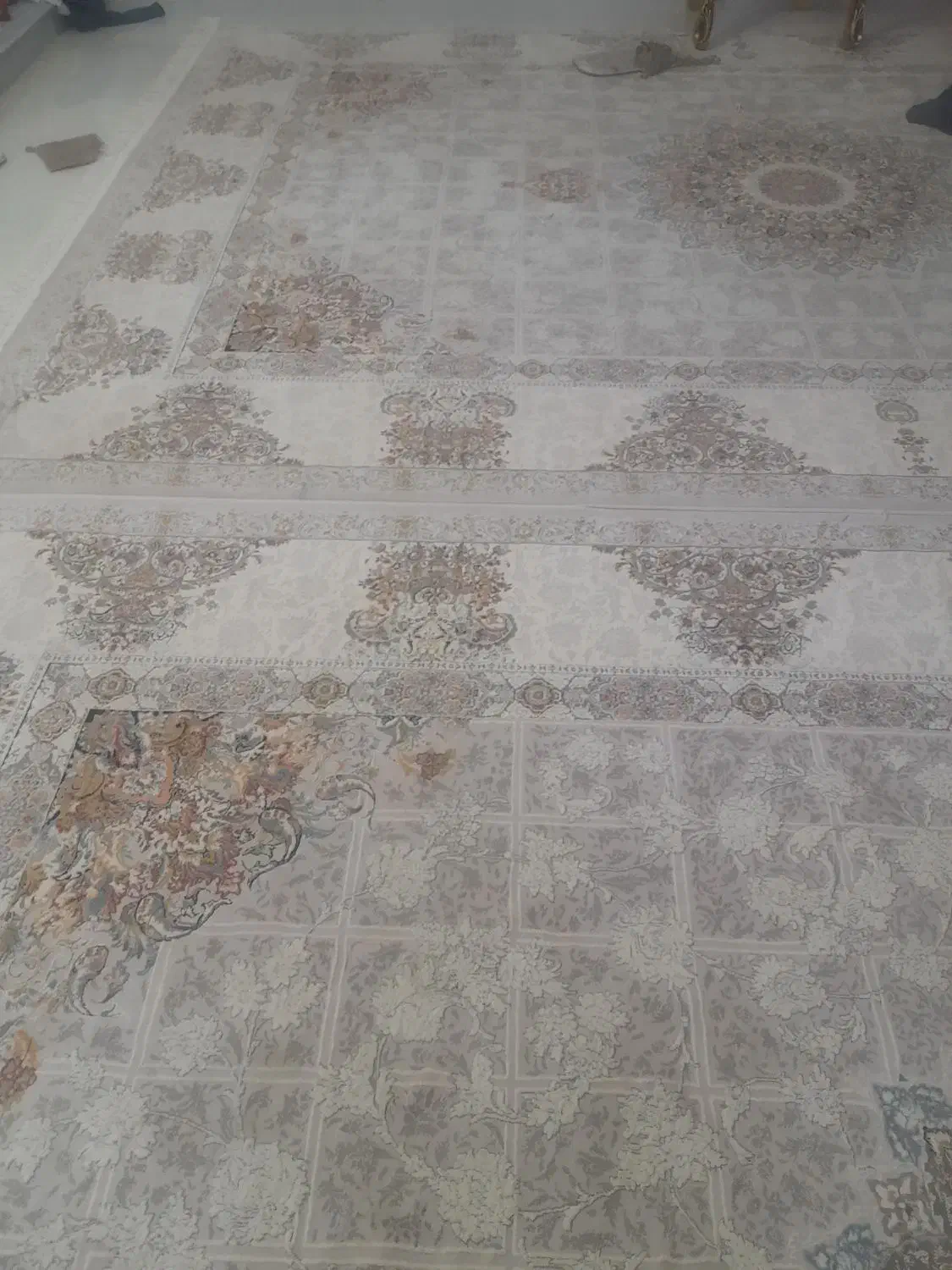 قالی ۹ متری|فرش|تربت‌حیدریه, بالا ولایت|دیوار