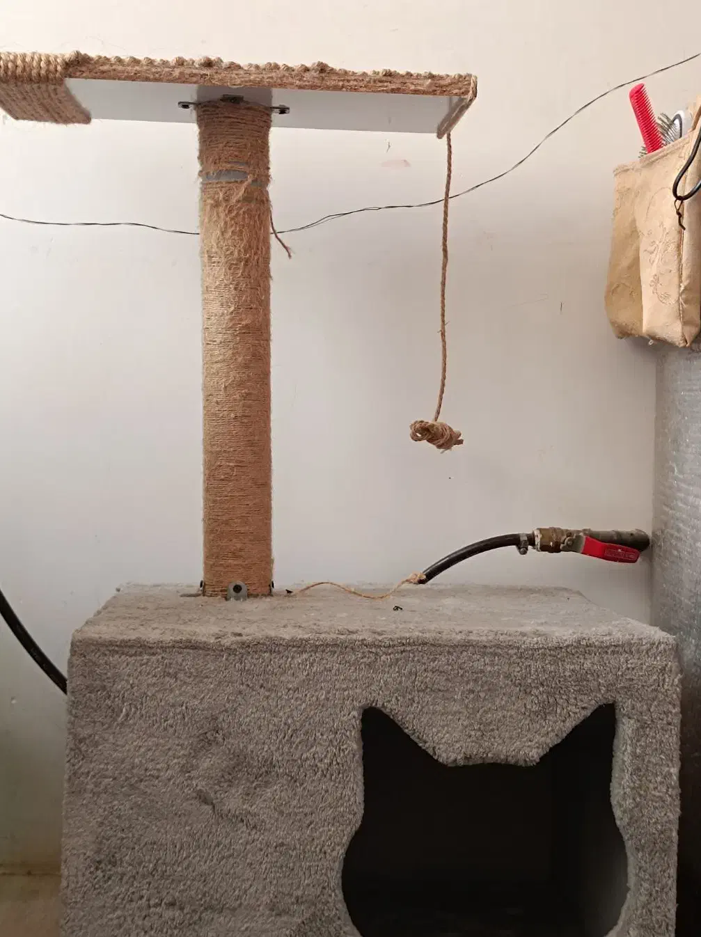 اسکرچر|لوازم جانبی حیوانات|مشهد, تلگرد|دیوار