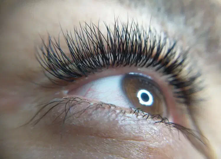 کاشت و اکستنشن مژه لیفت و لمینت مژه و ابرومیبد|خدمات آرایشگری و زیبایی|میبد, |دیوار