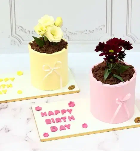 نمونه کیکها برای پرستاران عزیز و زینبها|خدمات پذیرایی، مراسم|یزد, |دیوار