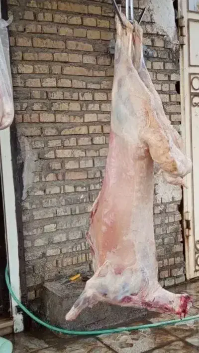 گوشت|خوردنی و آشامیدنی|مسجد سلیمان, |دیوار