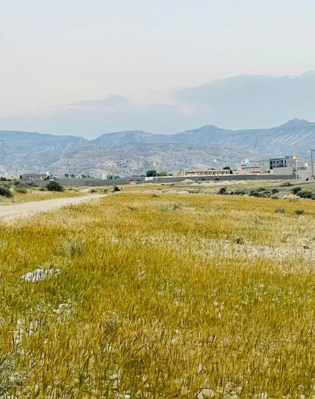 فروش|فروش زمین و ملک کلنگی|جم, |دیوار