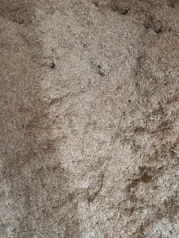 کاه|لوازم جانبی حیوانات|بیرانوند, |دیوار