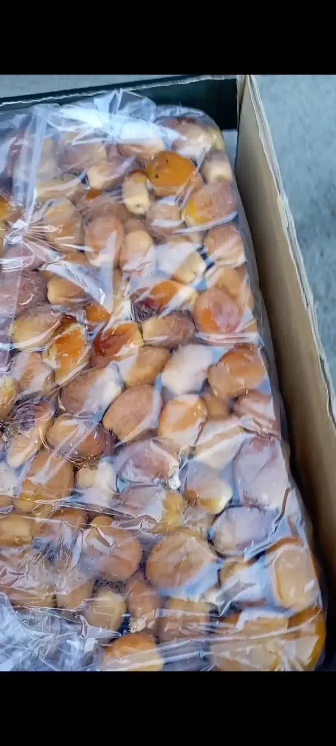 انواع خرما عمده|خوردنی و آشامیدنی|دیواندره, |دیوار