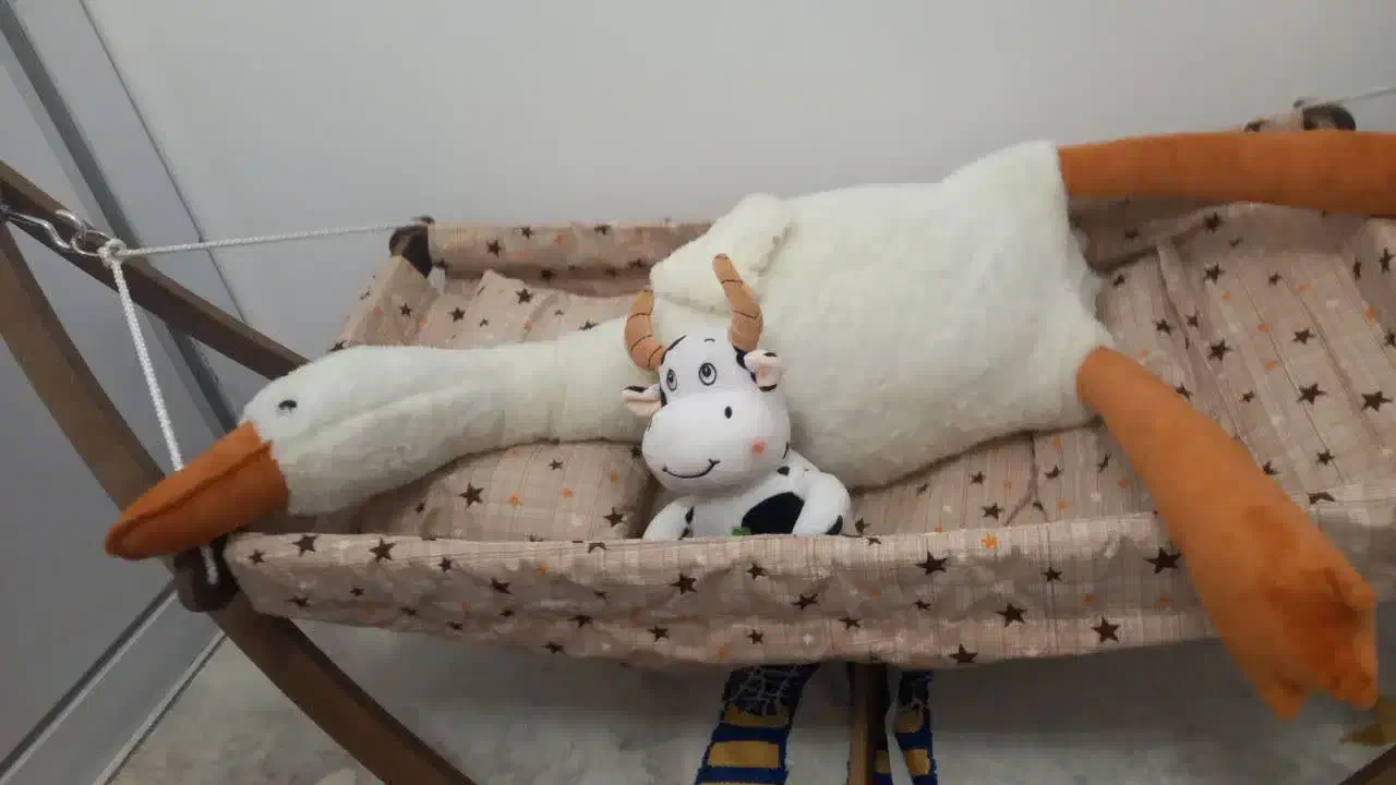 گهواره|اسباب و اثاث بچه|کرج, خرمدشت|دیوار