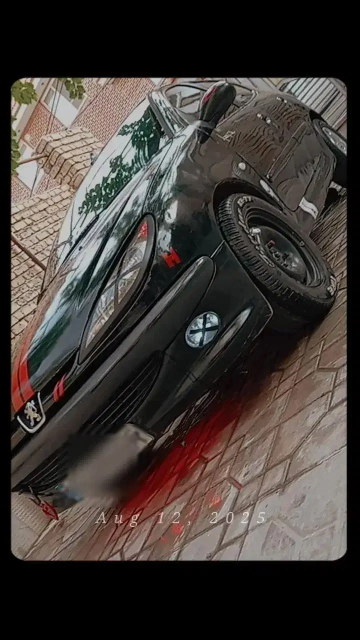 ۲۰۶ تیپ دو|خودرو سواری و وانت|سپیدان, |دیوار