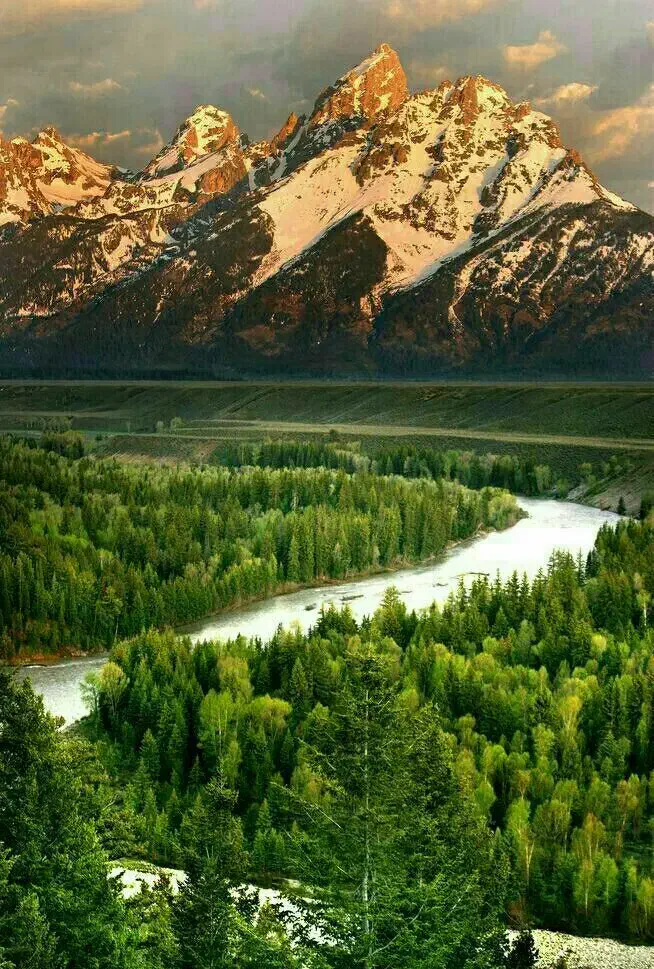 باغبان|خدمات باغبانی و درختکاری|ورامین, ورامین|دیوار