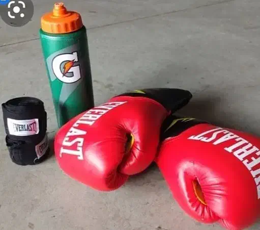 باشگاه رزم|خدمات آموزشی|تبریز, |دیوار