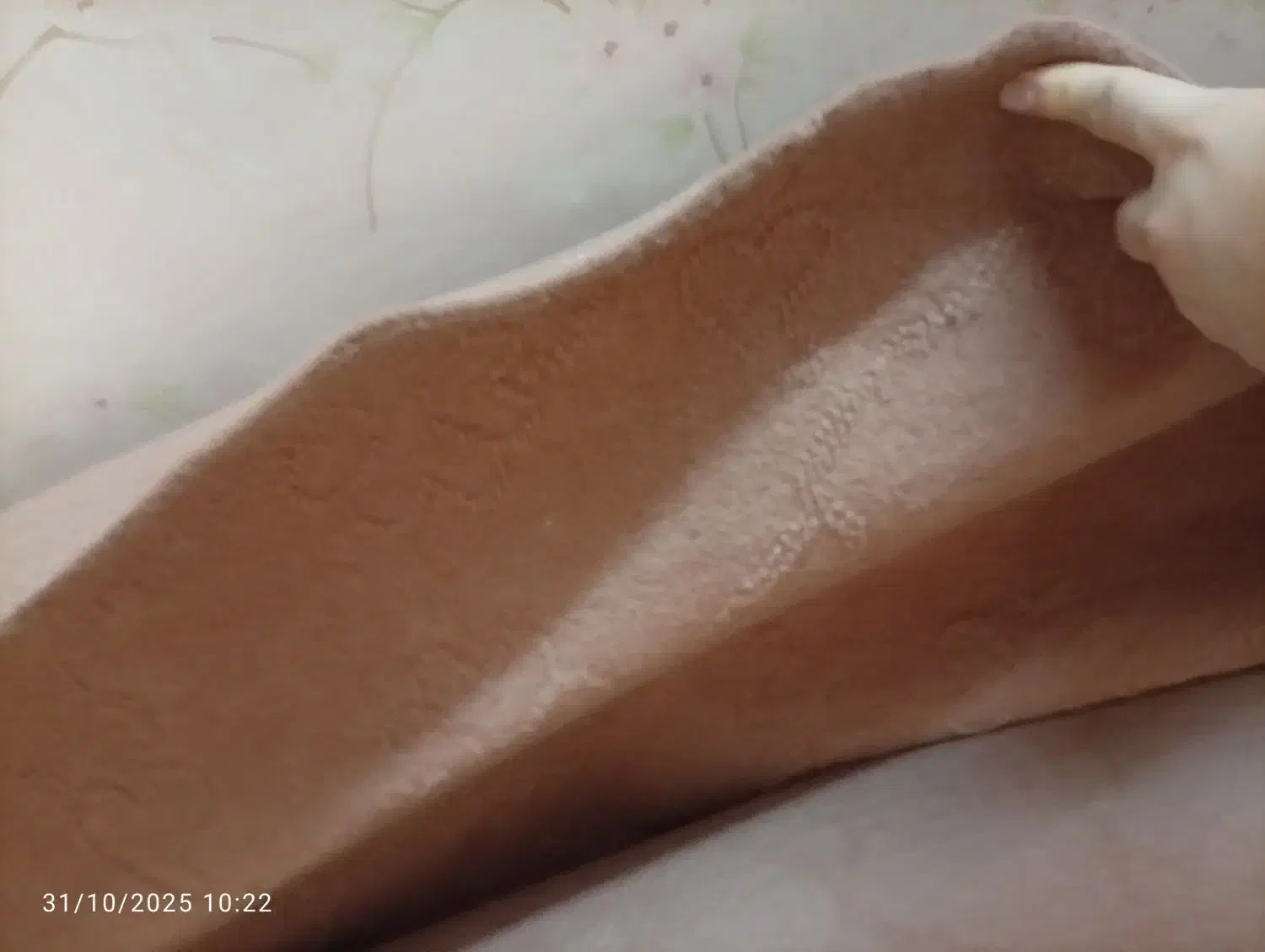 گلیم فرش نه متری و مقداری موکت|موکت|خمینیشهر, |دیوار