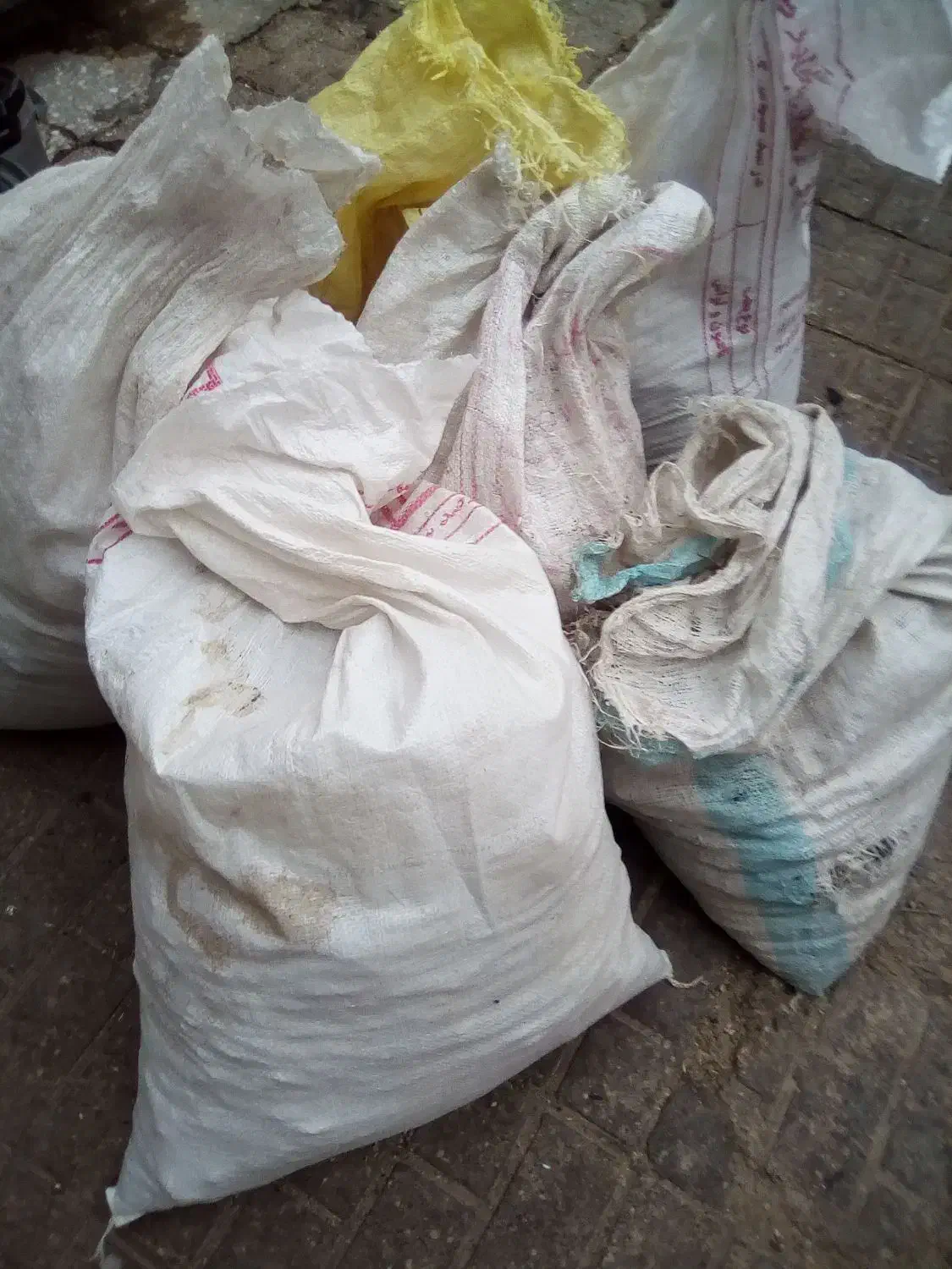 کود کفتر|لوازم جانبی حیوانات|بیرجند, |دیوار