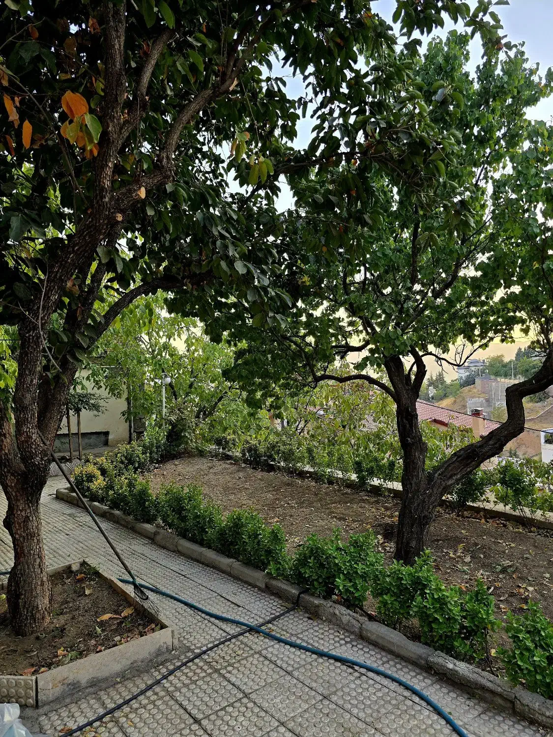 ۶۰۰ متر باغچه راحت آباد (باملواسان) قطعه بندی شده|فروش زمین و ملک کلنگی|لواسان, |دیوار