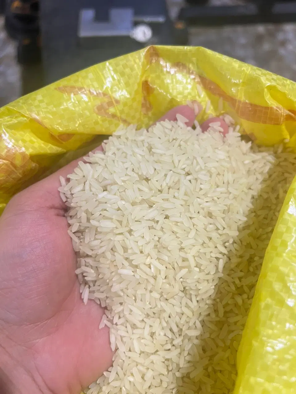 برنج|خوردنی و آشامیدنی|لردگان, |دیوار