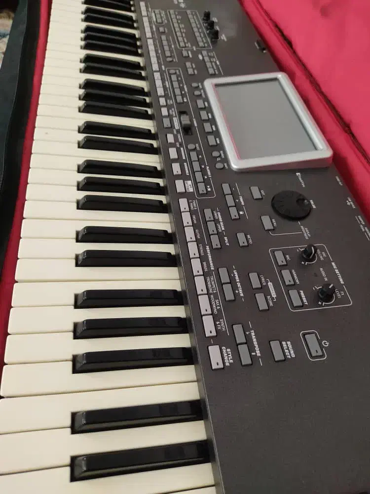 pa3le ارگ|پیانو، کیبورد، آکاردئون|قزوین, |دیوار