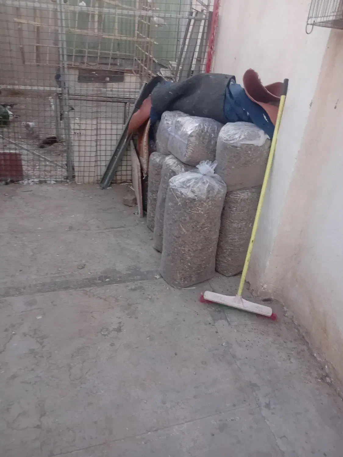 کود کبوتر|خدمات باغبانی و درختکاری|قزوین, |دیوار