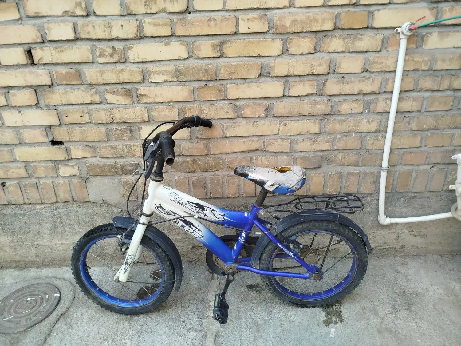 دوچرخه بچه گانه|دوچرخه، اسکیت، اسکوتر|مشهد, فردوسی|دیوار