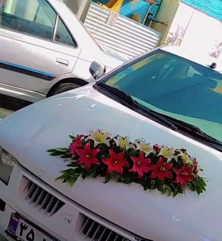 سفارش انواع دسته گل،گیفت،سینی حنا،بادکنک آرایی|صنایع دستی و سایر لوازم تزئینی|زابل, |دیوار