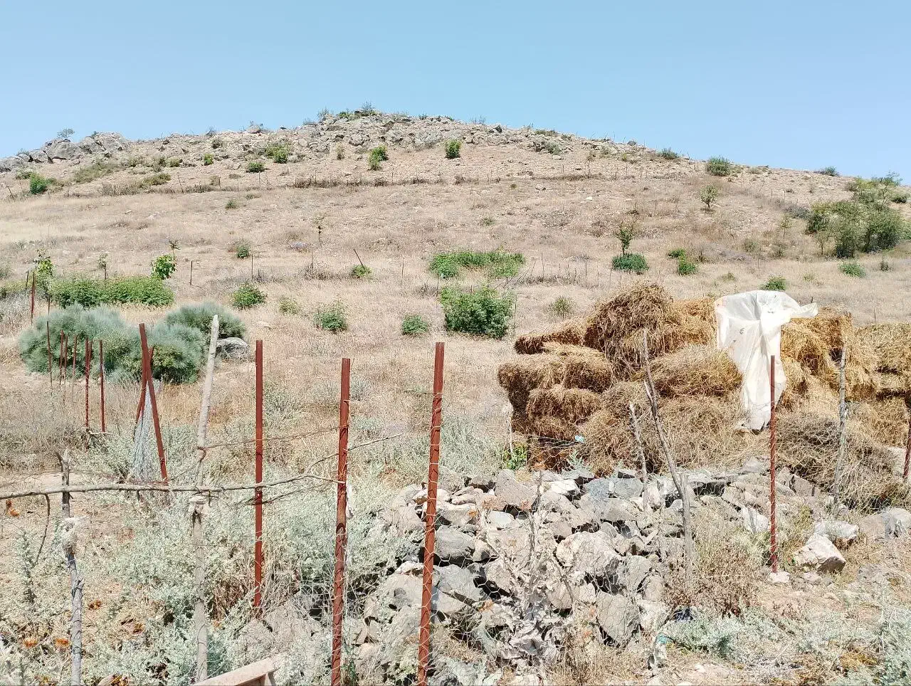 زمین مسکونی گیلان املش|فروش زمین و ملک کلنگی|املش, |دیوار