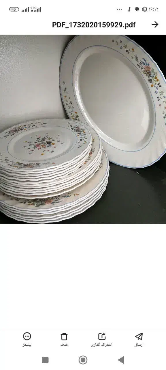 فروش و خریدار آرکوپال فرانسه|ظروف سرو و پذیرایی|اصفهان, باغ دریاچه|دیوار