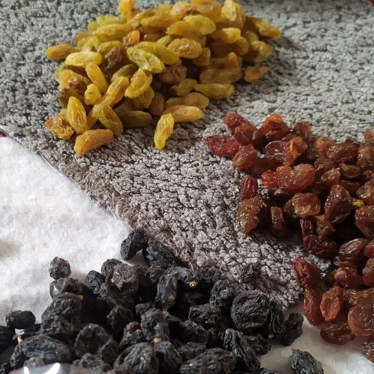 مویز کشمش سبز و پلوئی محصول کاشمر|خوردنی و آشامیدنی|مشهد, هنرور|دیوار