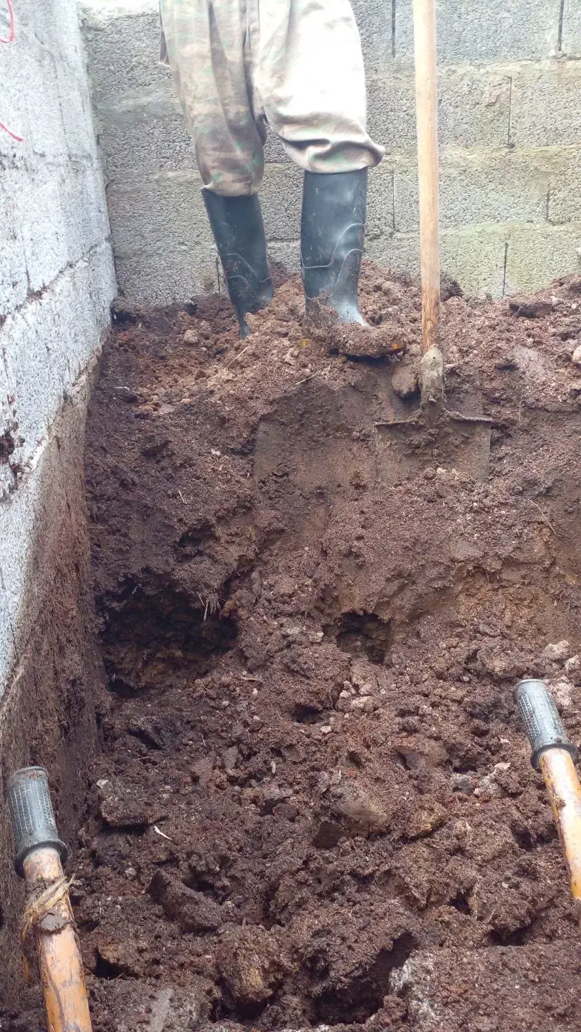 فروش پهن خشک گاو کهنه در کیسه|لوازم جانبی حیوانات|اسالم, |دیوار