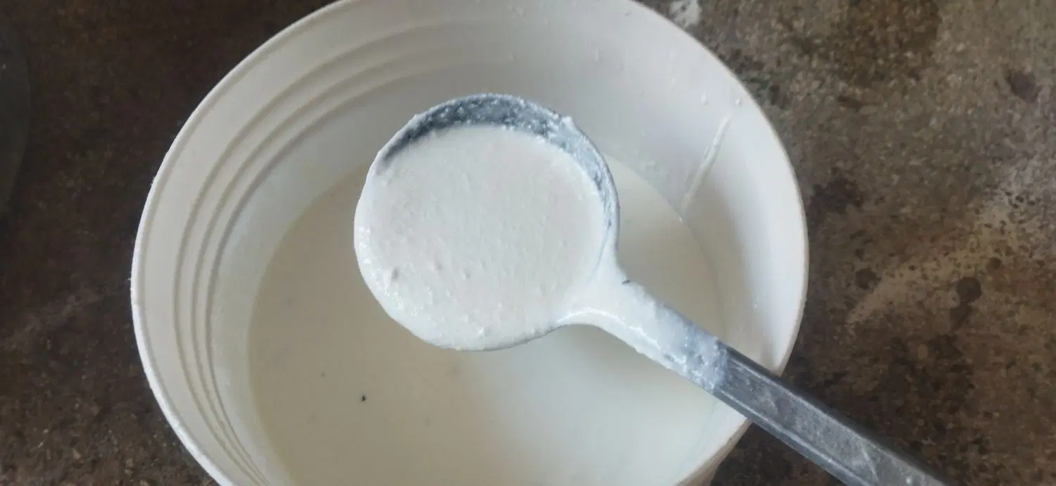 دوغ غلیظ|خوردنی و آشامیدنی|کلاشی, |دیوار
