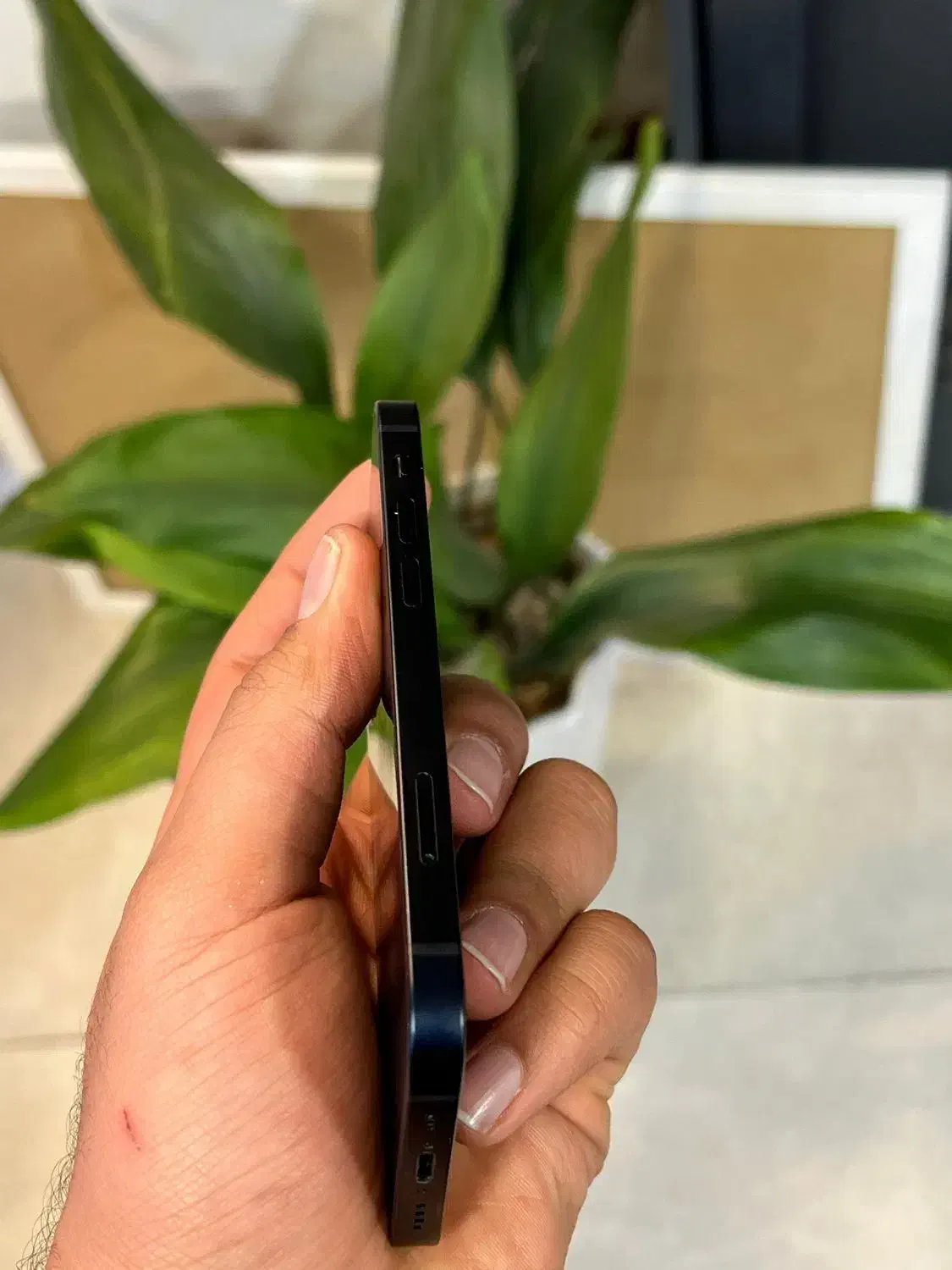 iPhone 12mini|موبایل|شیراز, گود عربان|دیوار