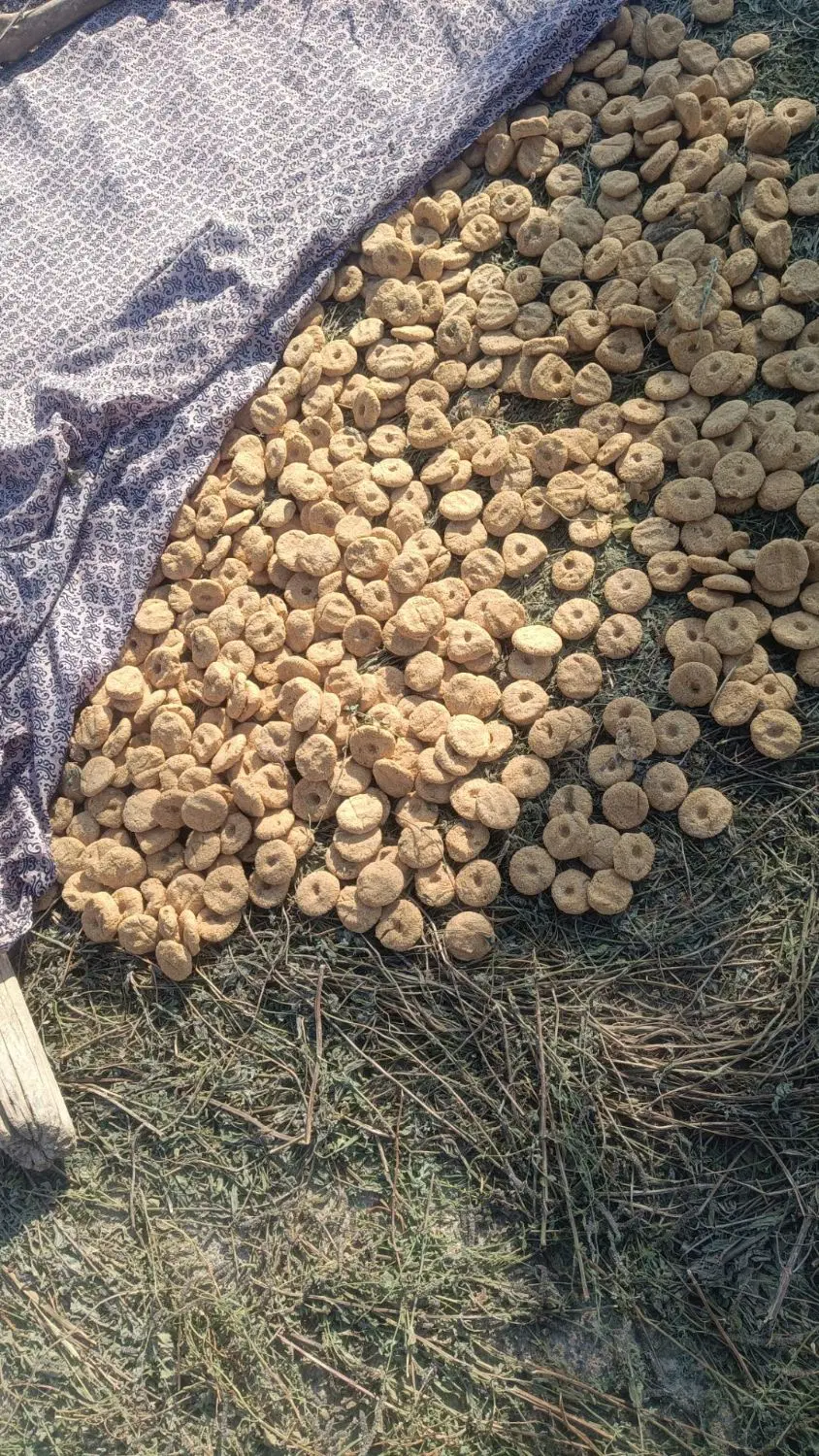 ترخینه|خوردنی و آشامیدنی|هرسین, |دیوار