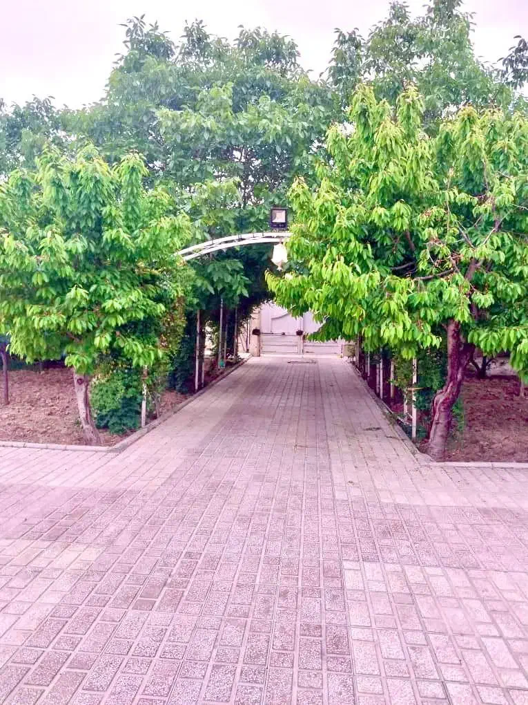 باغ برای مراسم گنجایش ۱۹۰نفر|اجارهٔ کوتاه‌مدت ویلا و باغ|هشتگرد, شهرک افشاریه|دیوار