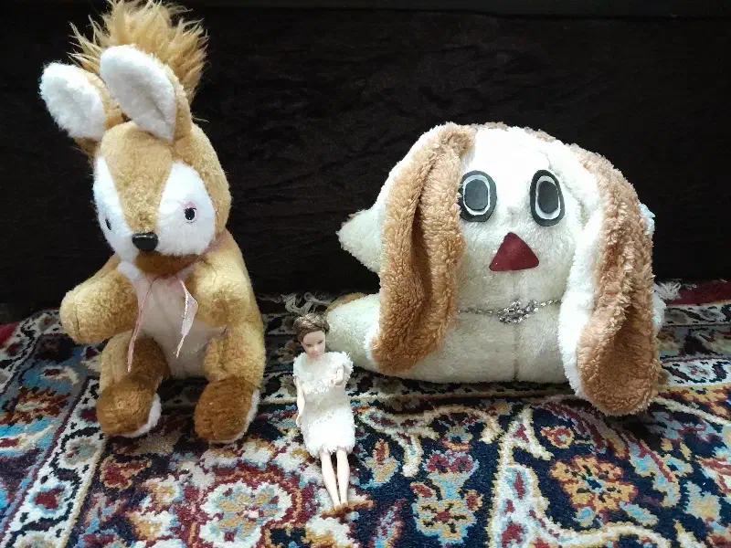 عروسک|اسباب‌‌بازی|شیراز, بالا کفت|دیوار